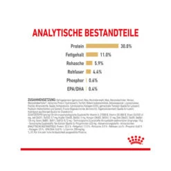 Royal Canin Labrador Retriever Adult 5+ -KONG Verkaufsgeschäft royal canin labrador retriever adult 5 165175 0500 none