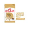 Royal Canin Labrador Retriever Adult Wet -KONG Verkaufsgeschäft royal canin labrador retriever adult wet 165814 0500 none
