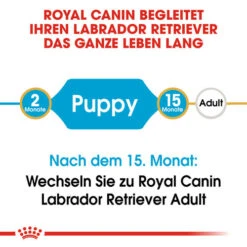 Royal Canin Labrador Retriever Puppy - Hundefutter 14 Royal Canin Labrador Retriever Puppy - Hundefutter -KONG Verkaufsgeschäft royal canin labrador retriever puppy hondenvoer 139411 0500 none