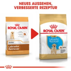 Royal Canin Labrador Retriever Puppy - Hundefutter 15 Royal Canin Labrador Retriever Puppy - Hundefutter -KONG Verkaufsgeschäft royal canin labrador retriever puppy hondenvoer 139456 0500 none