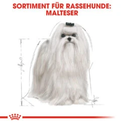 Royal Canin Maltese Adult - Hundefutter 12 Royal Canin Maltese Adult - Hundefutter -KONG Verkaufsgeschäft royal canin maltese adult hondenvoer 139570 0500 none