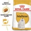 Royal Canin Maltese Adult - Hundefutter 2 Royal Canin Maltese Adult - Hundefutter -KONG Verkaufsgeschäft royal canin maltese adult hondenvoer 139624 0500 none