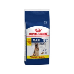 Royal Canin Maxi Adult 5+ - Hundefutter 11 Royal Canin Maxi Adult 5+ - Hundefutter -KONG Verkaufsgeschäft royal canin maxi adult 5 hondenvoer 144494 0500 none