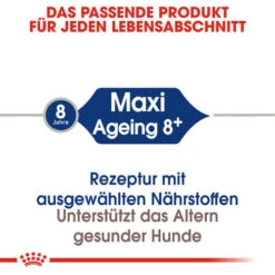 Royal Canin Maxi Ageing 8+ - Hundefutter -KONG Verkaufsgeschäft royal canin maxi ageing 8 hondenvoer 128699 0500 none