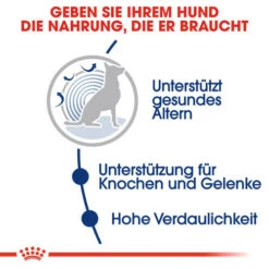 Royal Canin Maxi Ageing 8+ - Hundefutter -KONG Verkaufsgeschäft royal canin maxi ageing 8 hondenvoer 128705 0500 none