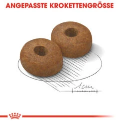 Royal Canin Maxi Ageing 8+ - Hundefutter -KONG Verkaufsgeschäft royal canin maxi ageing 8 hondenvoer 128714 0500 none