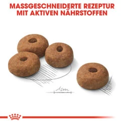 Royal Canin Maxi Sterilised - Hundefutter 14 Royal Canin Maxi Sterilised - Hundefutter -KONG Verkaufsgeschäft royal canin maxi sterilised hondenvoer 132680 0500 none