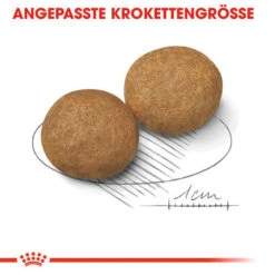 Royal Canin Medium Adult - Hundefutter -KONG Verkaufsgeschäft royal canin medium adult hondenvoer 128546 0500 none