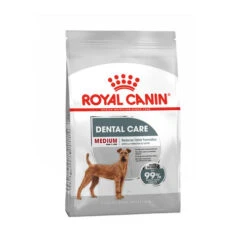 Royal Canin Medium Dental Care - Hundefutter 12 Royal Canin Medium Dental Care - Hundefutter -KONG Verkaufsgeschäft royal canin medium dental care hondenvoer 130919 0500 none