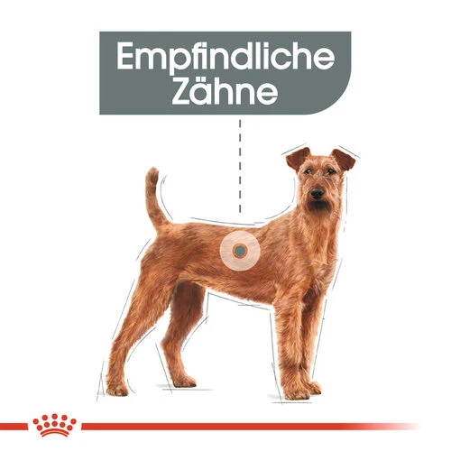 Royal Canin Medium Dental Care - Hundefutter 6 Royal Canin Medium Dental Care - Hundefutter – Bild 4