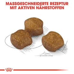 Royal Canin Medium Dental Care - Hundefutter 14 Royal Canin Medium Dental Care - Hundefutter -KONG Verkaufsgeschäft royal canin medium dental care hondenvoer 130934 0500 none