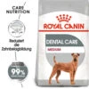 Royal Canin Medium Dental Care - Hundefutter -KONG Verkaufsgeschäft royal canin medium dental care hondenvoer 130952 0500 none