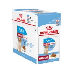 Royal Canin Medium Puppy Wet -KONG Verkaufsgeschäft royal canin medium puppy wet 121921 0500 none
