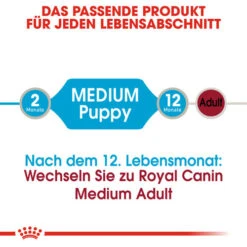 Royal Canin Medium Puppy Wet -KONG Verkaufsgeschäft royal canin medium puppy wet 129245 0500 none