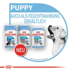 Royal Canin Medium Puppy Wet -KONG Verkaufsgeschäft royal canin medium puppy wet 129293 0500 none