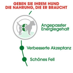 Royal Canin Mini Adult - Hundefutter 12 Royal Canin Mini Adult - Hundefutter -KONG Verkaufsgeschäft royal canin mini adult hondenvoer 128648 0500 none