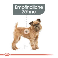 Royal Canin Mini Dental Care - Hundefutter 11 Royal Canin Mini Dental Care - Hundefutter -KONG Verkaufsgeschäft royal canin mini dental care hondenvoer 130985 0500 none