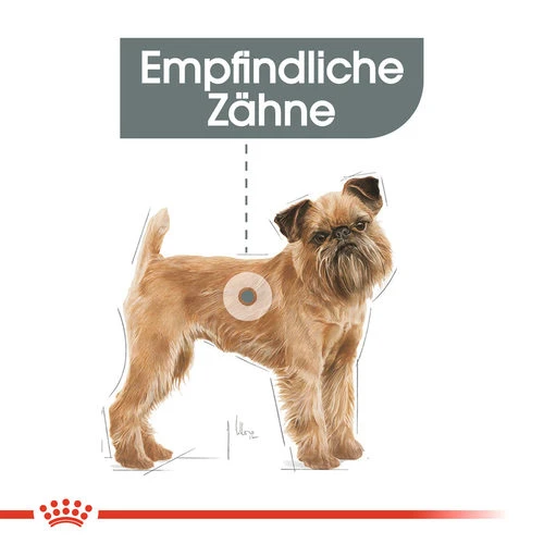 Royal Canin Mini Dental Care - Hundefutter 5 Royal Canin Mini Dental Care - Hundefutter – Bild 3