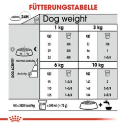 Royal Canin Mini Dental Care - Hundefutter 14 Royal Canin Mini Dental Care - Hundefutter -KONG Verkaufsgeschäft royal canin mini dental care hondenvoer 131012 0500 none