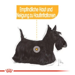 Royal Canin Dermacomfort Mini - Hundefutter -KONG Verkaufsgeschäft royal canin mini dermacomfort hondenvoer 132977 0500 none