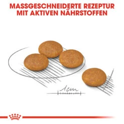 Royal Canin Dermacomfort Mini - Hundefutter -KONG Verkaufsgeschäft royal canin mini dermacomfort hondenvoer 132995 0500 none