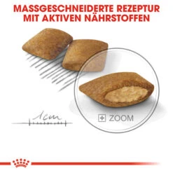 Royal Canin Mini Exigent - Hundefutter 16 Royal Canin Mini Exigent - Hundefutter -KONG Verkaufsgeschäft royal canin mini exigent hondenvoer 133178 0500 none