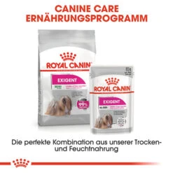 Royal Canin Mini Exigent - Hundefutter 18 Royal Canin Mini Exigent - Hundefutter -KONG Verkaufsgeschäft royal canin mini exigent hondenvoer 133187 0500 none
