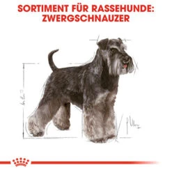 Royal Canin Mini Schnauzer Adult - Hundefutter 12 Royal Canin Mini Schnauzer Adult - Hundefutter -KONG Verkaufsgeschäft royal canin mini schnauzer adult hondenvoer 140074 0500 none