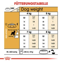 Royal Canin Mini Schnauzer Adult - Hundefutter 14 Royal Canin Mini Schnauzer Adult - Hundefutter -KONG Verkaufsgeschäft royal canin mini schnauzer adult hondenvoer 140110 0500 none