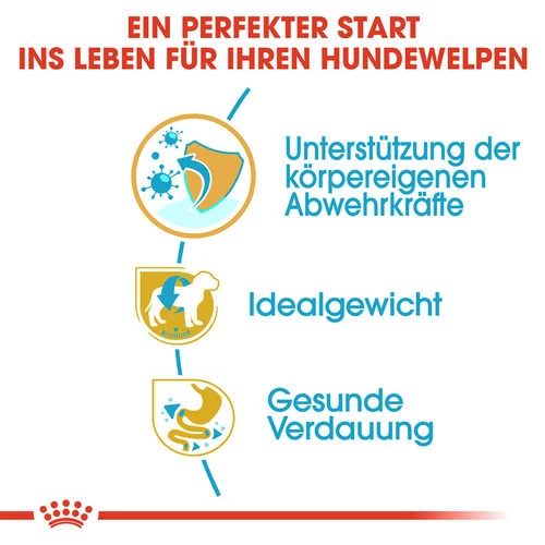 Royal Canin Mini Schnauzer Puppy - Hundefutter 4 Royal Canin Mini Schnauzer Puppy - Hundefutter – Bild 2