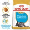 Royal Canin Mini Schnauzer Puppy - Hundefutter -KONG Verkaufsgeschäft royal canin mini schnauzer puppy hondenvoer 140197 0500 none