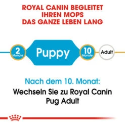 Royal Canin Pug Puppy - Hundefutter -KONG Verkaufsgeschäft royal canin pug puppy hondenvoer 139858 0500 none