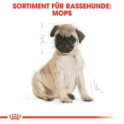Royal Canin Pug Puppy - Hundefutter -KONG Verkaufsgeschäft royal canin pug puppy hondenvoer 139885 0500 none