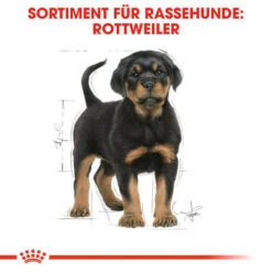 Royal Canin Rottweiler Puppy - Hundefutter -KONG Verkaufsgeschäft royal canin rottweiler puppy hondenvoer 140029 0500 none