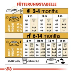 Royal Canin Rottweiler Puppy - Hundefutter -KONG Verkaufsgeschäft royal canin rottweiler puppy hondenvoer 140038 0500 none