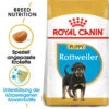 Royal Canin Rottweiler Puppy - Hundefutter -KONG Verkaufsgeschäft royal canin rottweiler puppy hondenvoer 140065 0500 none