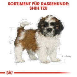 Royal Canin Shih Tzu Puppy - Hundefutter 13 Royal Canin Shih Tzu Puppy - Hundefutter -KONG Verkaufsgeschäft royal canin shih tzu junior hondenvoer 140411 0500 none