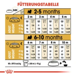 Royal Canin Shih Tzu Puppy - Hundefutter 16 Royal Canin Shih Tzu Puppy - Hundefutter -KONG Verkaufsgeschäft royal canin shih tzu junior hondenvoer 140420 0500 none