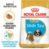 Royal Canin Shih Tzu Puppy - Hundefutter 2 Royal Canin Shih Tzu Puppy - Hundefutter -KONG Verkaufsgeschäft royal canin shih tzu junior hondenvoer 140444 0500 none