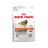 Royal Canin Sporting Trail 4300 - Hundefutter -KONG Verkaufsgeschäft royal canin sporting trail 4300 114254 0500 none