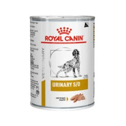 Royal Canin Urinary S/O Hund -KONG Verkaufsgeschäft royal canin urinary so hond 130511 0500 none