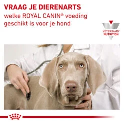 Royal Canin Urinary S/O Hund -KONG Verkaufsgeschäft royal canin urinary so hond 153688 0500 none
