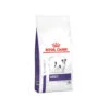 Royal Canin VCN - Adult Small Dog 2 Royal Canin VCN - Adult Small Dog -KONG Verkaufsgeschäft royal canin vcn adult small dog 217740 0500 none