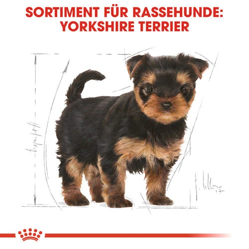 Royal Canin Yorkshire Terrier Puppy - Hundefutter 6 Royal Canin Yorkshire Terrier Puppy - Hundefutter – Bild 4