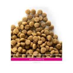 SANIMED Anti Struvite Dog -KONG Verkaufsgeschäft sanimed anti struvite dog 158504 0500 none