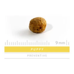 SANIMED Puppy -KONG Verkaufsgeschäft sanimed puppy 159224 0500 none