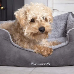 Scruffs Cosy Box Bett -KONG Verkaufsgeschäft scruffs cosy box bed 209483 0500 none
