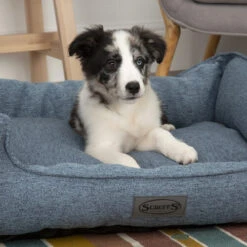 Scruffs Manhattan Box Bett -KONG Verkaufsgeschäft scruffs manhattan box bed 209507 0500 none