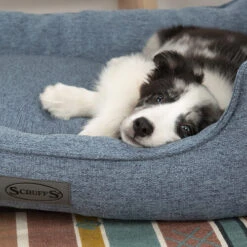 Scruffs Manhattan Box Bett -KONG Verkaufsgeschäft scruffs manhattan box bed 209510 0500 none