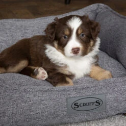 Scruffs Manhattan Box Bett -KONG Verkaufsgeschäft scruffs manhattan box bed 209513 0500 none